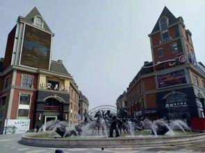 如皋美庐爆料最新消息,揭秘神秘事件背后的真相